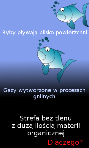 Problemy z osadem dennym w stawie. Przyducha.