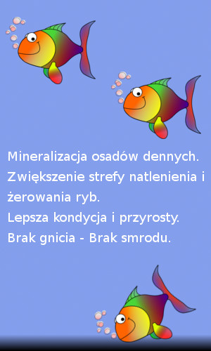 Staw bez osadów dennych.
