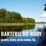 Staw i oczko wodne- naturalne środki mikrobiologiczne