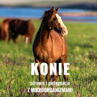 KONIE