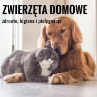 Zwierzęta domowe- zdrowie, higiena i pielęgnacja