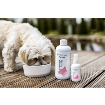 CANIS Mikroorganiczny spray do higieny psów